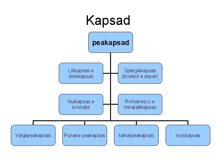 Kapsad peakapsad Valgepeakapsas Lillkapsas e õisikkapsas Spargelkapsas (brokkol e aspar) Nuikapsas e koolrabil Romanesco