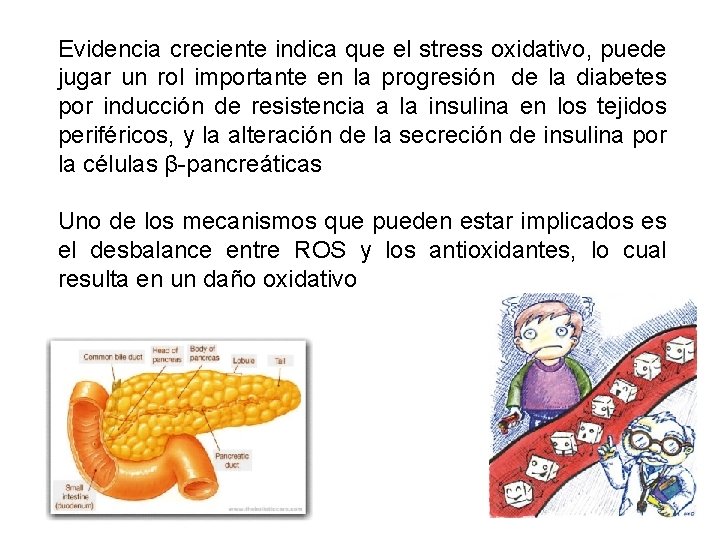 Evidencia creciente indica que el stress oxidativo, puede jugar un rol importante en la