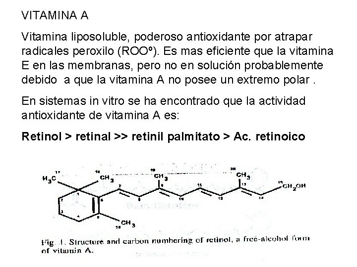 VITAMINA A Vitamina liposoluble, poderoso antioxidante por atrapar radicales peroxilo (ROOº). Es mas eficiente