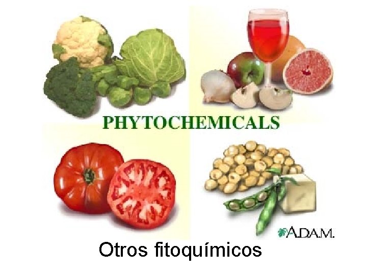 Otros fitoquímicos 