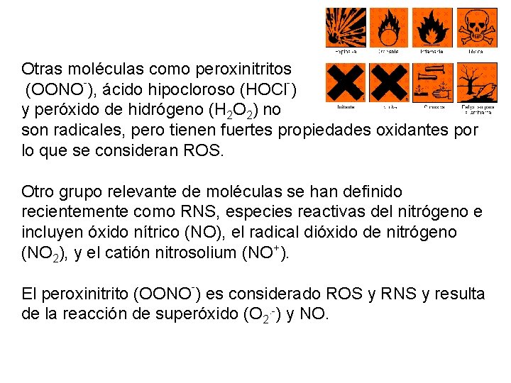 Otras moléculas como peroxinitritos (OONO ), ácido hipocloroso (HOCl ) y peróxido de hidrógeno