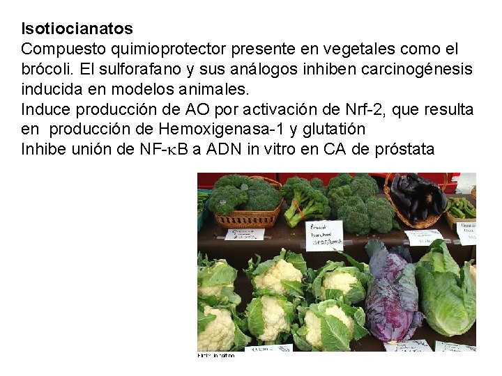 Isotiocianatos Compuesto quimioprotector presente en vegetales como el brócoli. El sulforafano y sus análogos