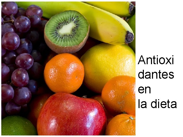 Antioxi dantes en la dieta 