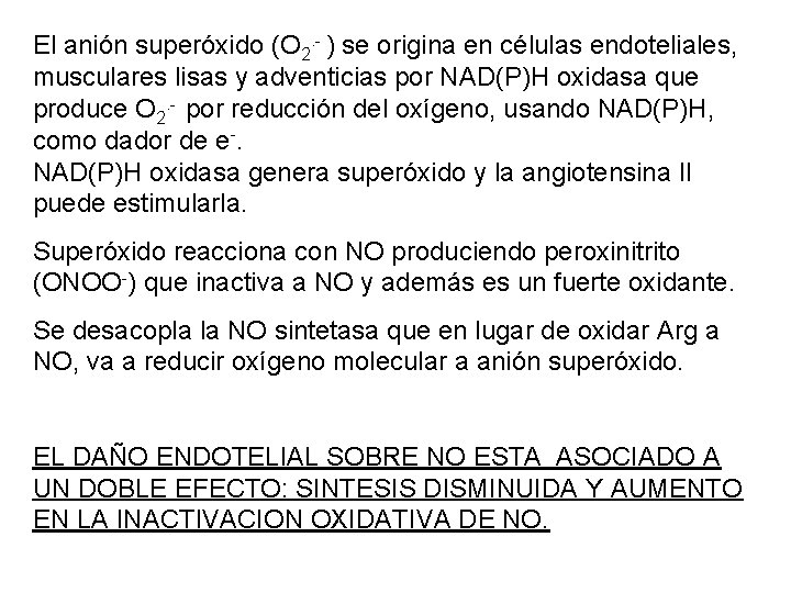 El anión superóxido (O 2. - ) se origina en células endoteliales, musculares lisas