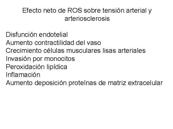 Efecto neto de ROS sobre tensión arterial y arteriosclerosis Disfunción endotelial Aumento contractilidad del