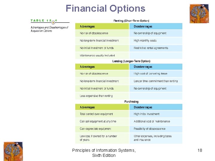 Financial Options Principles of Information Systems, Sixth Edition 18 