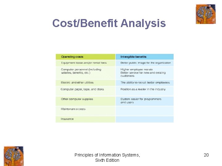 Cost/Benefit Analysis Principles of Information Systems, Sixth Edition 20 