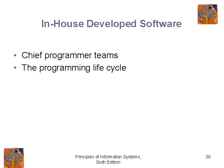 In-House Developed Software • Chief programmer teams • The programming life cycle Principles of