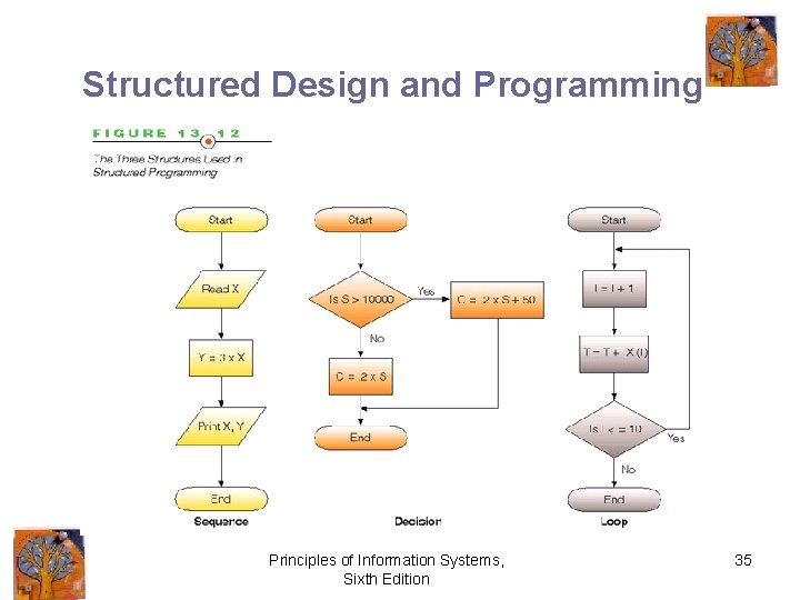 Structured Design and Programming Principles of Information Systems, Sixth Edition 35 