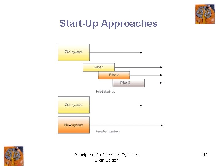 Start-Up Approaches Principles of Information Systems, Sixth Edition 42 
