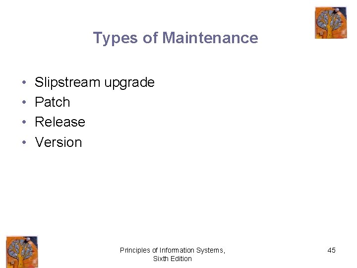 Types of Maintenance • • Slipstream upgrade Patch Release Version Principles of Information Systems,