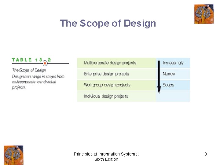 The Scope of Design Principles of Information Systems, Sixth Edition 8 