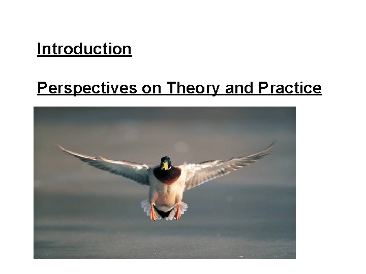 Introduction Perspectives on Theory and Practice 