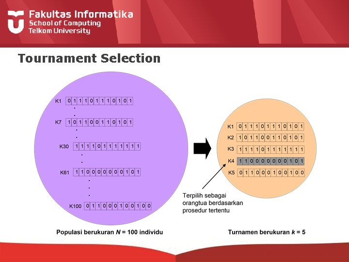 Tournament Selection 