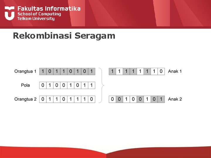 Rekombinasi Seragam 