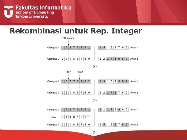 Rekombinasi untuk Rep. Integer 