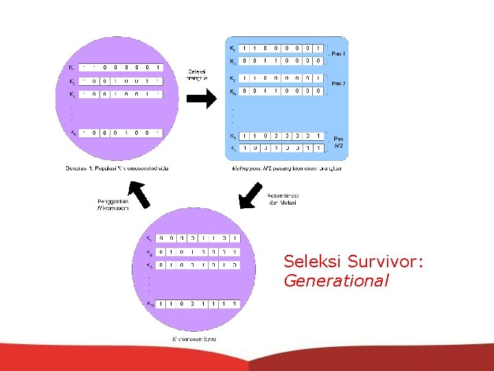 Seleksi Survivor: Generational 