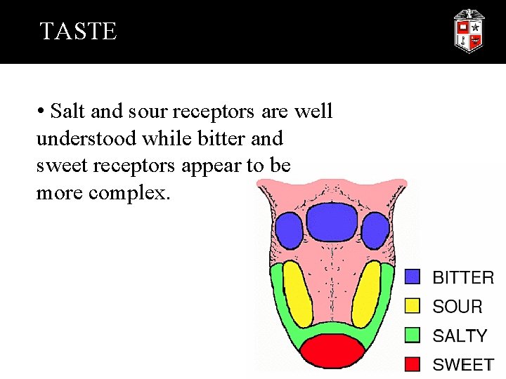 TASTE • Salt and sour receptors are well understood while bitter and sweet receptors