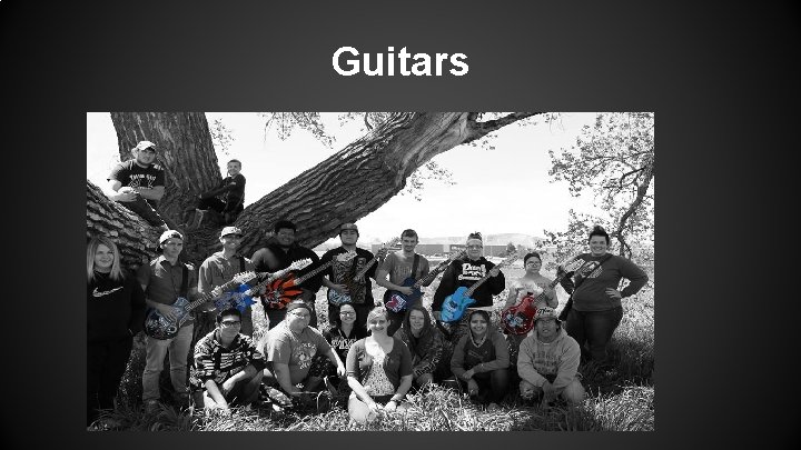 Guitars 