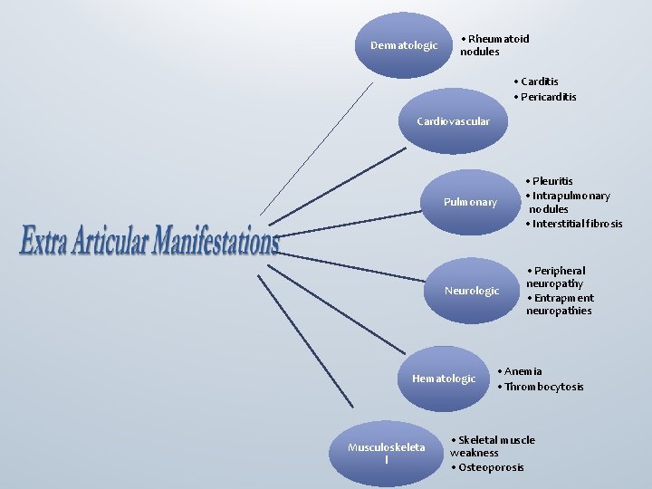 Dermatologic • Rheumatoid nodules • Carditis • Pericarditis Cardiovascular Pulmonary • Pleuritis • Intrapulmonary