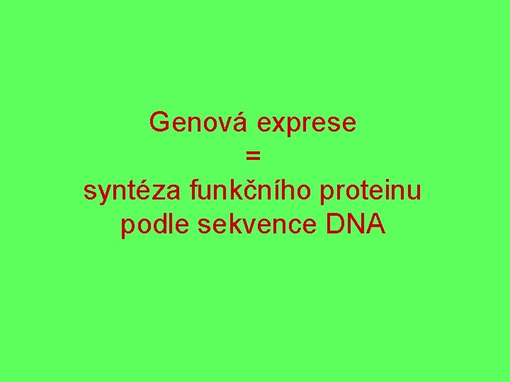 Genová exprese = syntéza funkčního proteinu podle sekvence DNA 