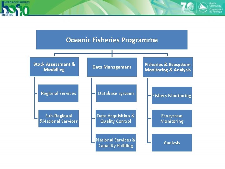 Oceanic Fisheries Programme Stock Assessment & Modelling Data Management Fisheries & Ecosystem Monitoring &