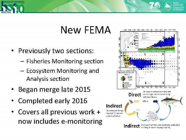 New FEMA • Previously two sections: – Fisheries Monitoring section – Ecosystem Monitoring and