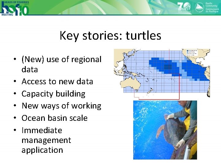 Key stories: turtles • (New) use of regional data • Access to new data