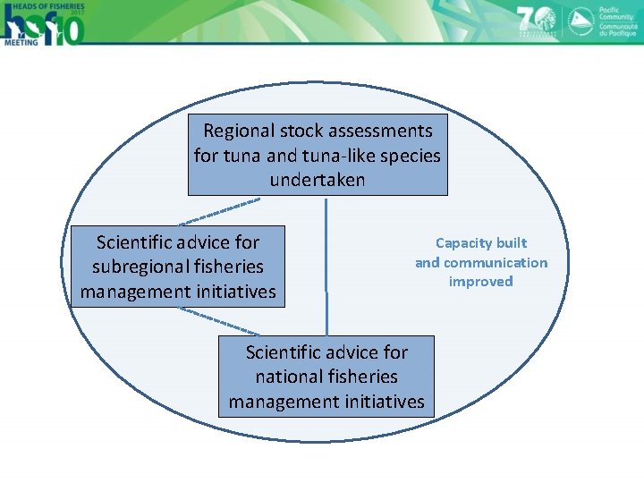 Regional stock assessments for tuna and tuna-like species undertaken Scientific advice for subregional fisheries