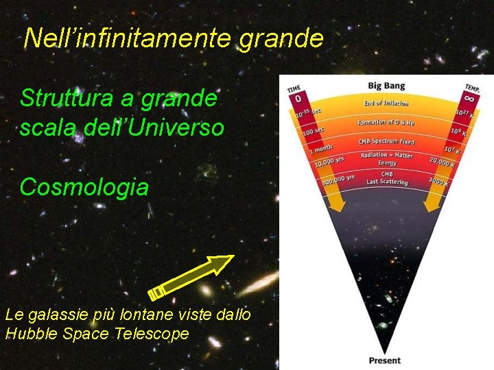 Nell’infinitamente grande Struttura a grande scala dell’Universo Cosmologia Le galassie più lontane viste dallo