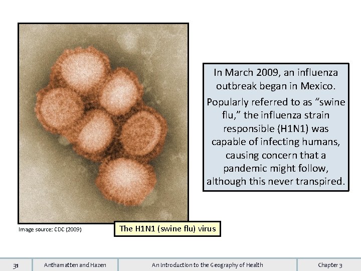 In March 2009, an influenza outbreak began in Mexico. Popularly referred to as “swine