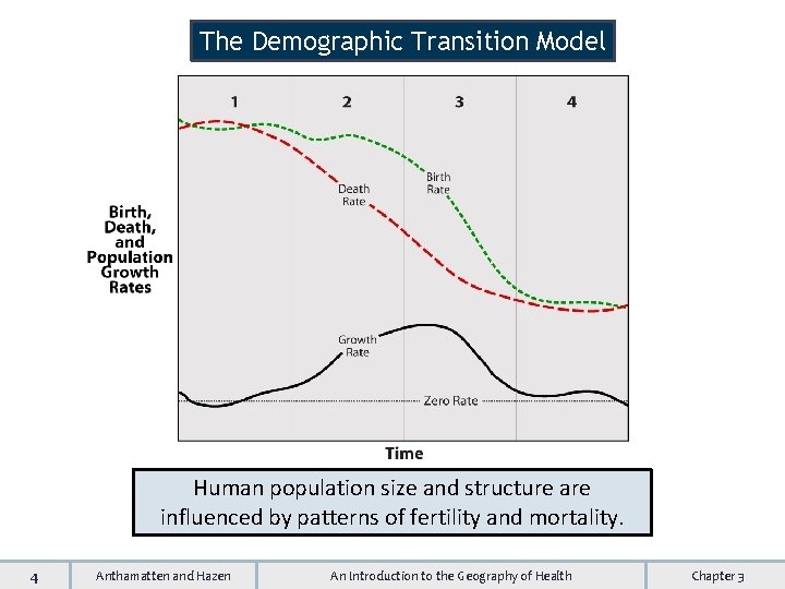 The Demographic Transition Model Human population size and structure are influenced by patterns of