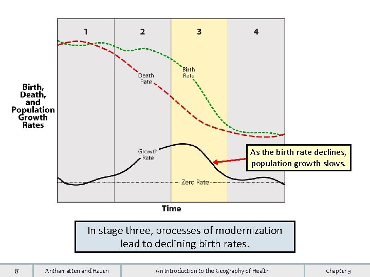 As the birth rate declines, population growth slows. In stage three, processes of modernization