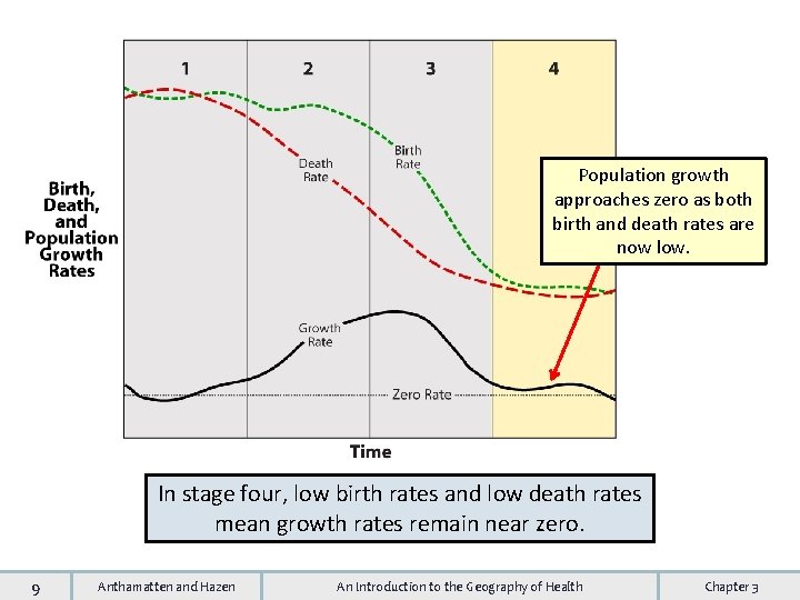 Population growth approaches zero as both birth and death rates are now low. In