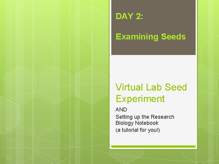 DAY 2: Examining Seeds Virtual Lab Seed Experiment AND Setting up the Research Biology