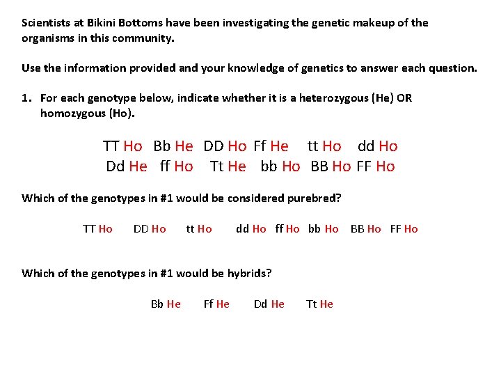 Scientists at Bikini Bottoms have been investigating the genetic makeup of the organisms in