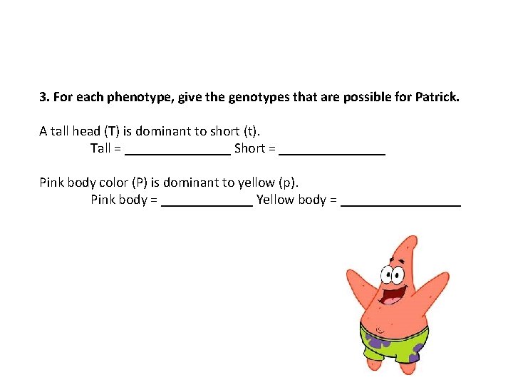 3. For each phenotype, give the genotypes that are possible for Patrick. A tall