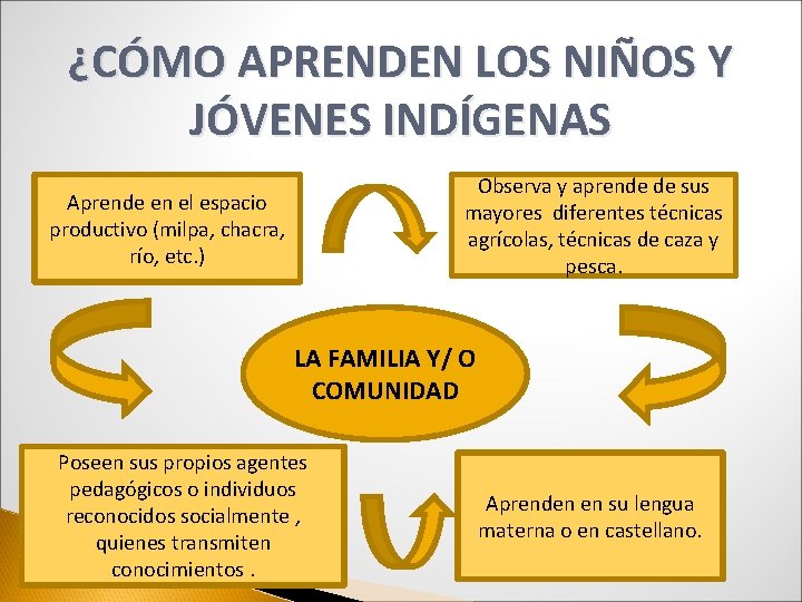 ¿CÓMO APRENDEN LOS NIÑOS Y JÓVENES INDÍGENAS Observa y aprende de sus mayores diferentes