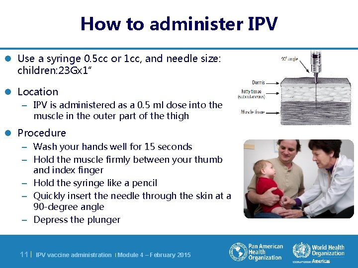 How to administer IPV l Use a syringe 0. 5 cc or 1 cc,