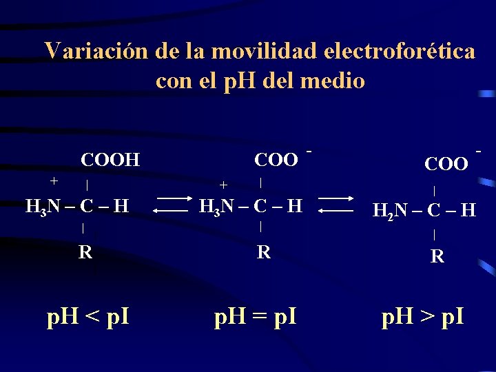 Variación de la movilidad electroforética con el p. H del medio - COOH +