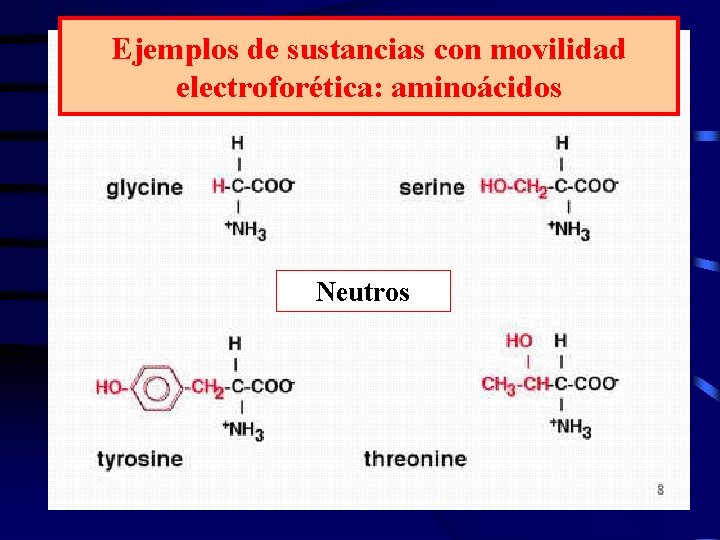 Ejemplos de sustancias con movilidad electroforética: aminoácidos Neutros 