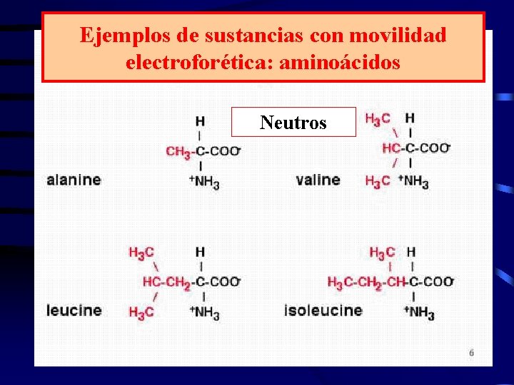 Ejemplos de sustancias con movilidad electroforética: aminoácidos Neutros 
