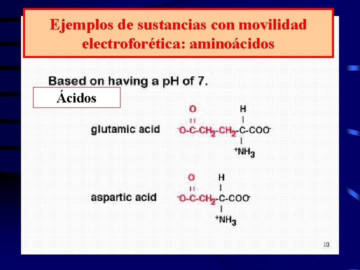 Ejemplos de sustancias con movilidad electroforética: aminoácidos Ácidos 