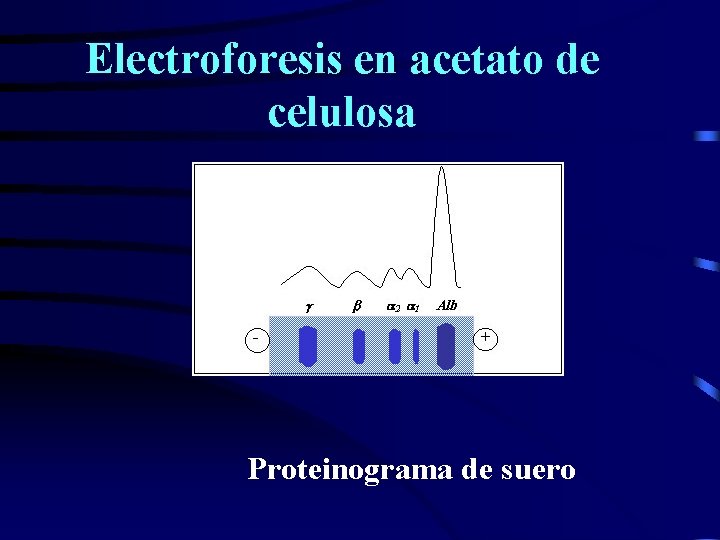 Electroforesis en acetato de Electroforesis en a celulosa Proteinograma de suero 