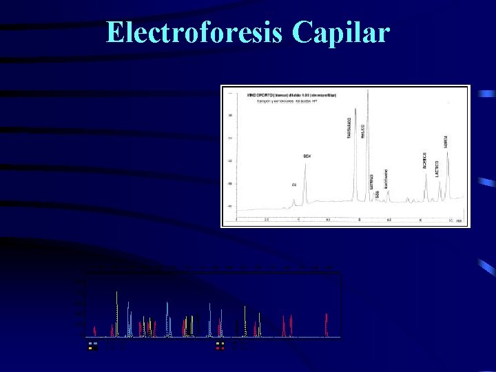 Electroforesis Capilar 