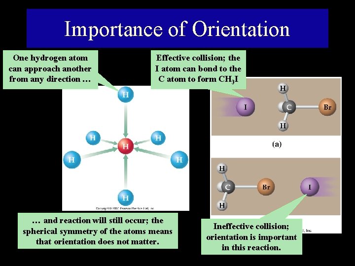 Importance of Orientation One hydrogen atom can approach another from any direction … Effective