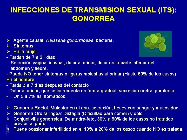 INFECCIONES DE TRANSMISION SEXUAL (ITS): GONORREA Ø Agente causal: Neisseria gonorrhoeae, bacteria. Ø Síntomas: