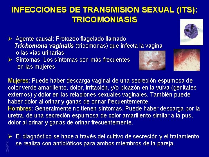 INFECCIONES DE TRANSMISION SEXUAL (ITS): TRICOMONIASIS Ø Agente causal: Protozoo flagelado llamado Trichomona vaginalis