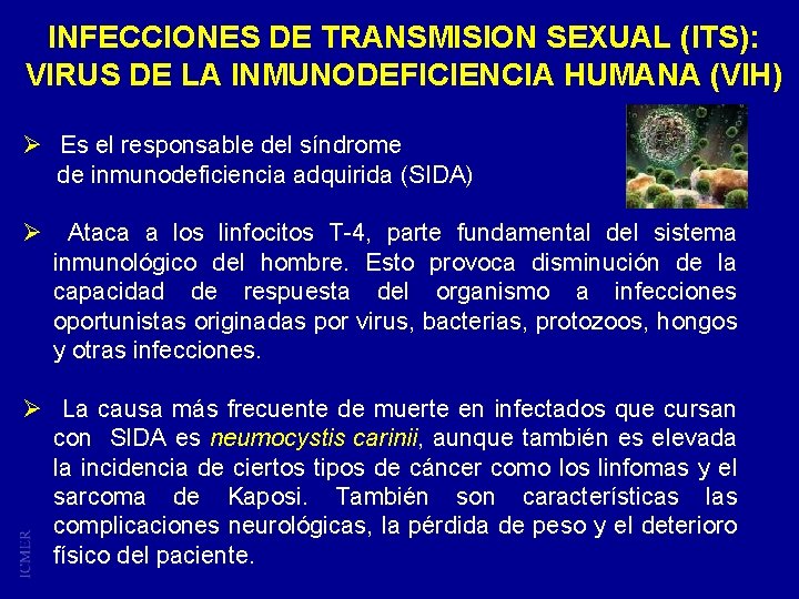 INFECCIONES DE TRANSMISION SEXUAL (ITS): VIRUS DE LA INMUNODEFICIENCIA HUMANA (VIH) Ø Es el