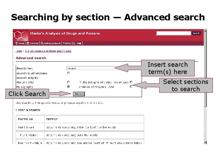 Searching by section — Advanced search Insert search term(s) here Click Search Select sections
